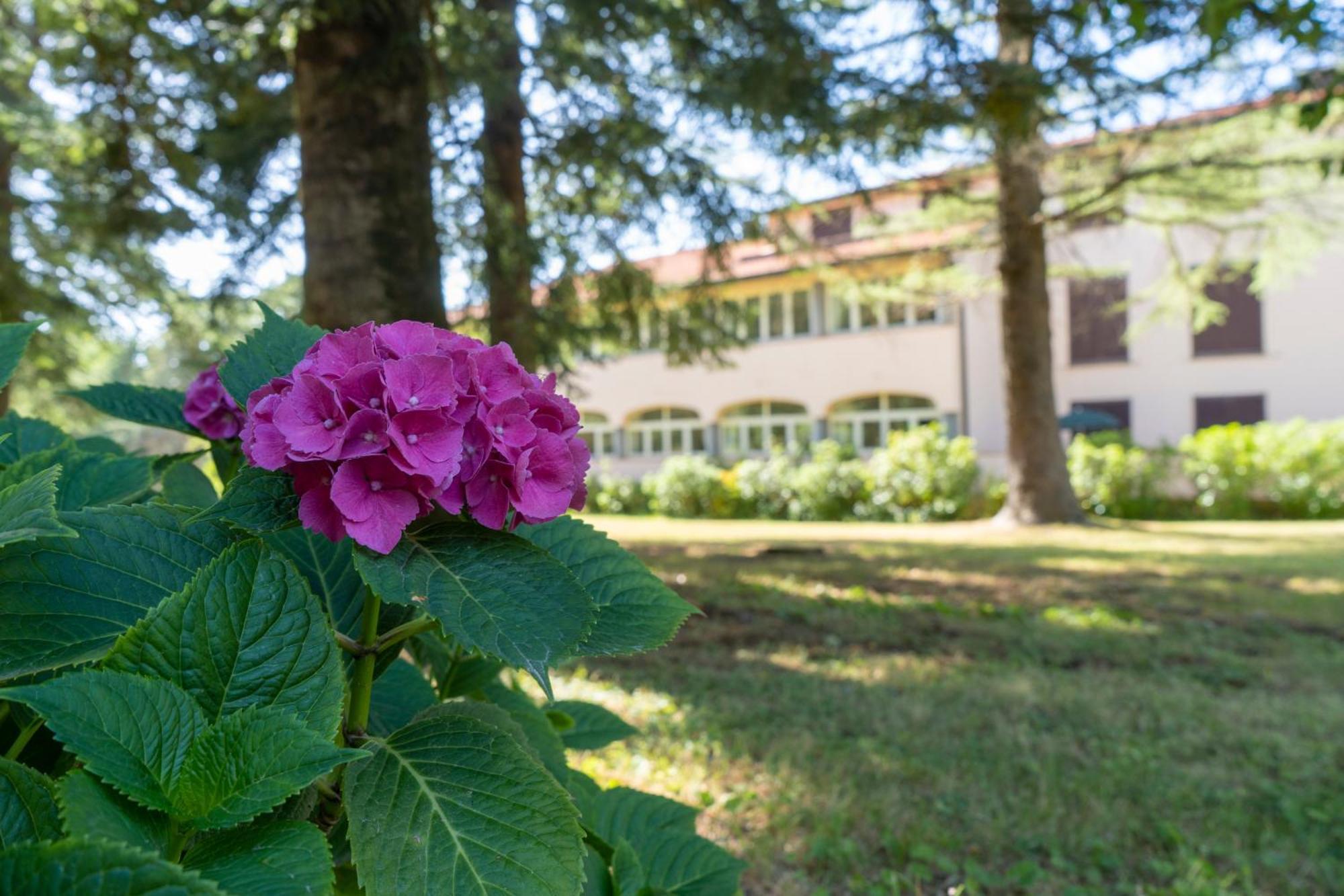 Toscana Wellness Resort Arcidosso Buitenkant foto
